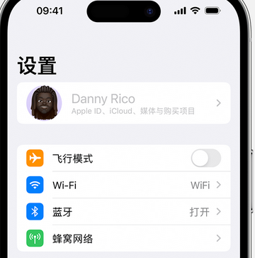 沙雅appleID维修服务iPhone设置中Apple ID显示为灰色无法使用 