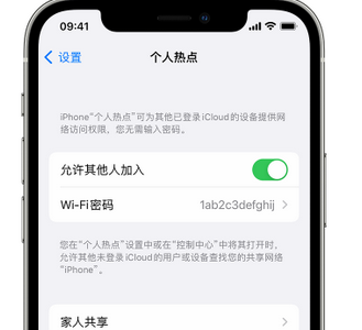 沙雅apple服务站点分享iPhone上个人热点丢失了怎么办 