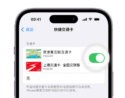 沙雅apple维修点分享iPhone上更换Apple Pay快捷交通卡手绘卡面 