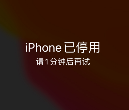 沙雅苹果手机维修分享:iPhone 显示“不可用”或“已停用”怎么办？还能保留数据吗？ 