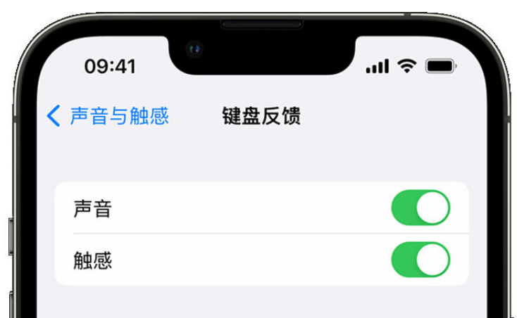 沙雅苹果手机维修分享iPhone 14触感键盘使用方法 