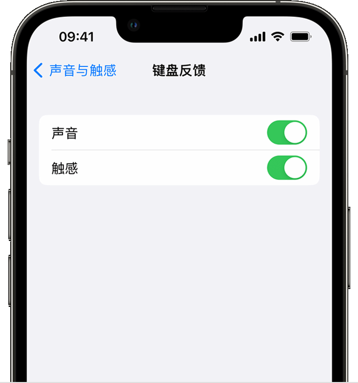 沙雅苹果14维修店分享如何在 iPhone 14 机型中使用触感键盘 