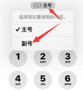 沙雅苹果14维修店分享iPhone 14 Pro Max使用副卡打电话的方法 