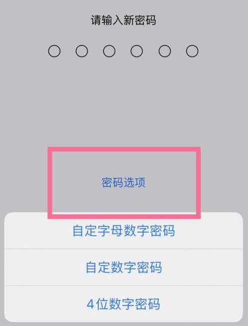 沙雅苹果14维修分享iPhone 14plus设置密码的方法 