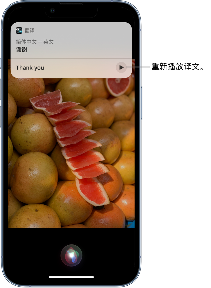 沙雅苹果14维修分享 iPhone 14 机型中使用 Siri：了解 Siri 能帮你做什么 