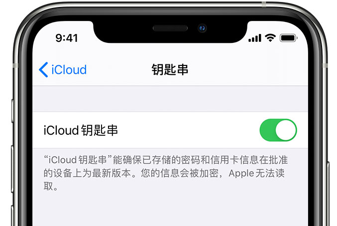 沙雅苹果手机维修分享在 iPhone 上开启 iCloud 钥匙串之后会储存哪些信息 