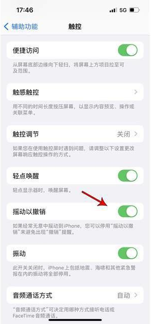 沙雅苹果手机维修分享iPhone手机如何设置摇一摇删除文字 