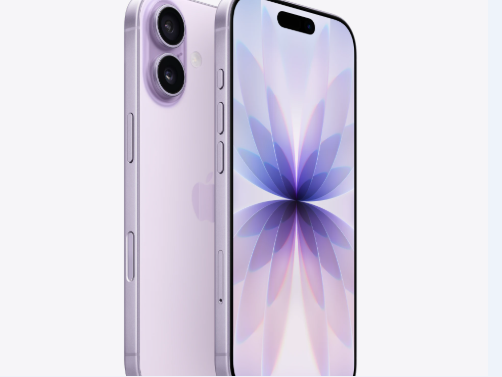 沙雅苹果维修点分享iPhone 17锁屏密码使用参考 